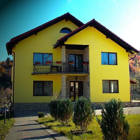 Casa Olteanu Pension Moieciu de Jos Buitenkant foto