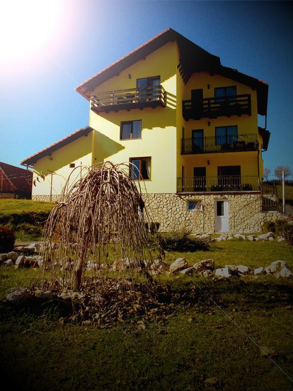 Casa Olteanu Pension Moieciu de Jos Buitenkant foto