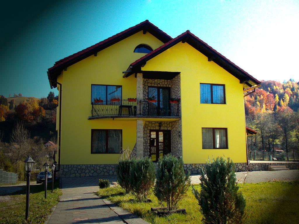 Casa Olteanu Pension Moieciu de Jos Buitenkant foto