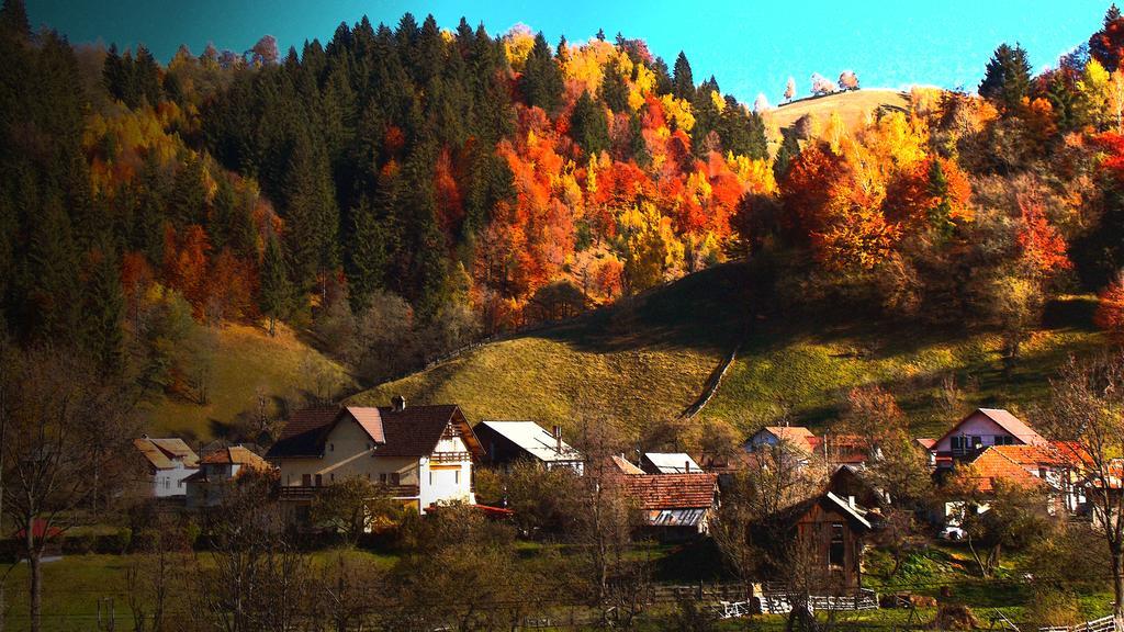 Casa Olteanu Pension Moieciu de Jos Buitenkant foto